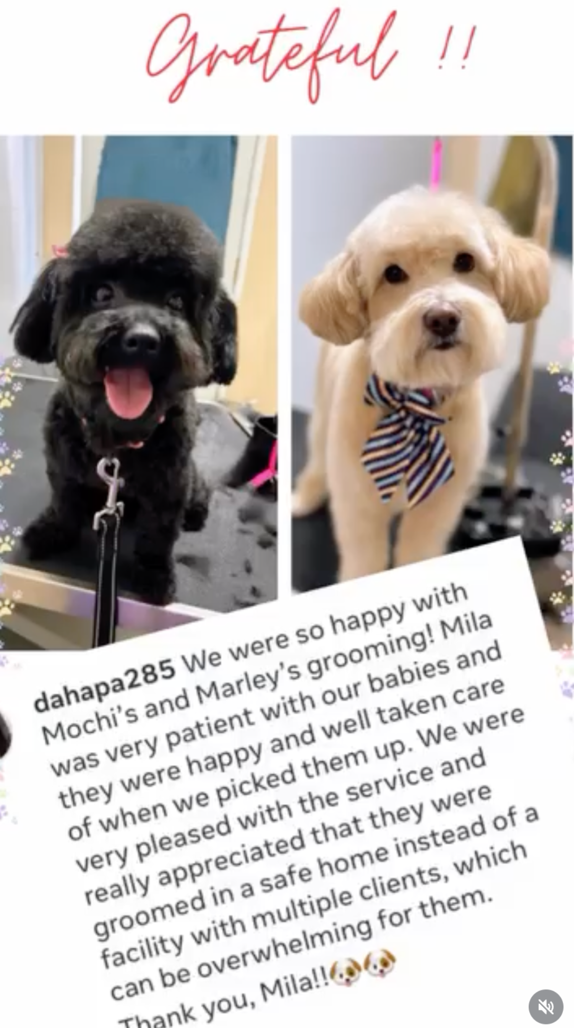 Customer review screenshot 3