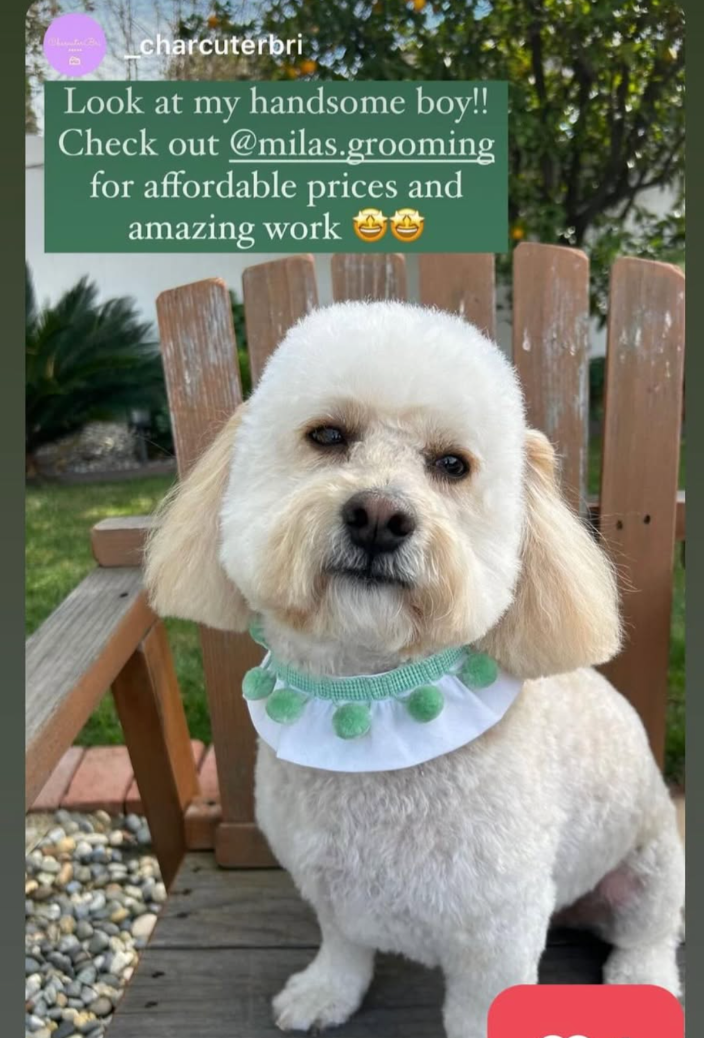 Customer review screenshot 14